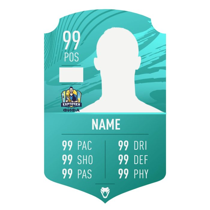 pro player fifa 21 card
